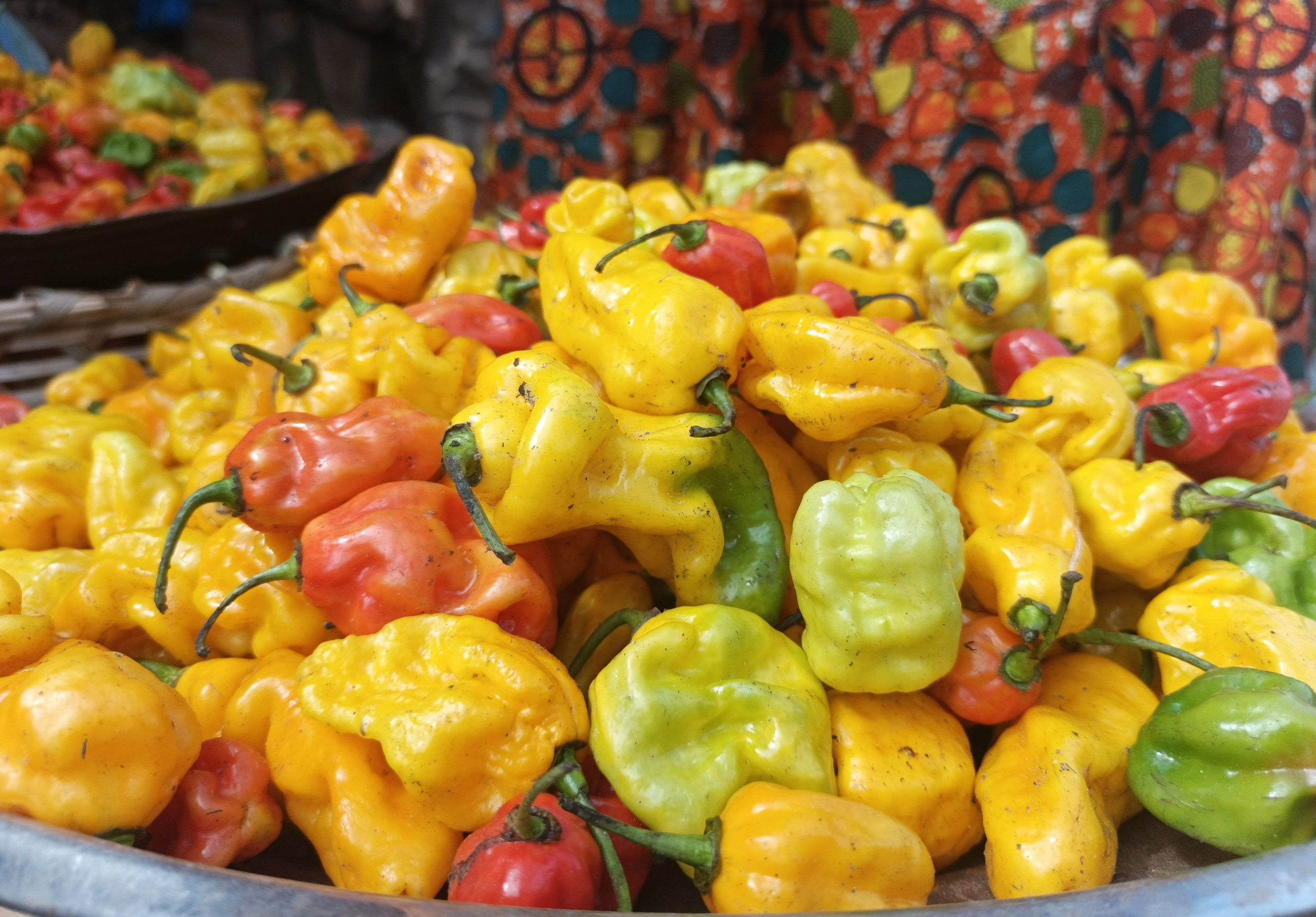 Pénurie de piment à Bangui : une flambée des prix inquiète les consommateurs