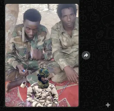 Frère d'un chef rebelle arrêté puis libéré contre rançon au Tchad