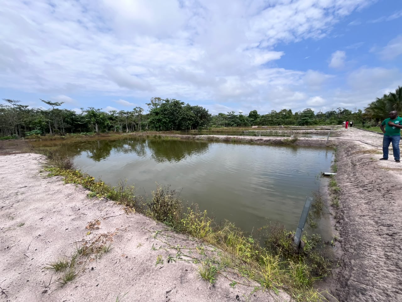 Entretien et maintenance des bassins piscicoles hors-sol