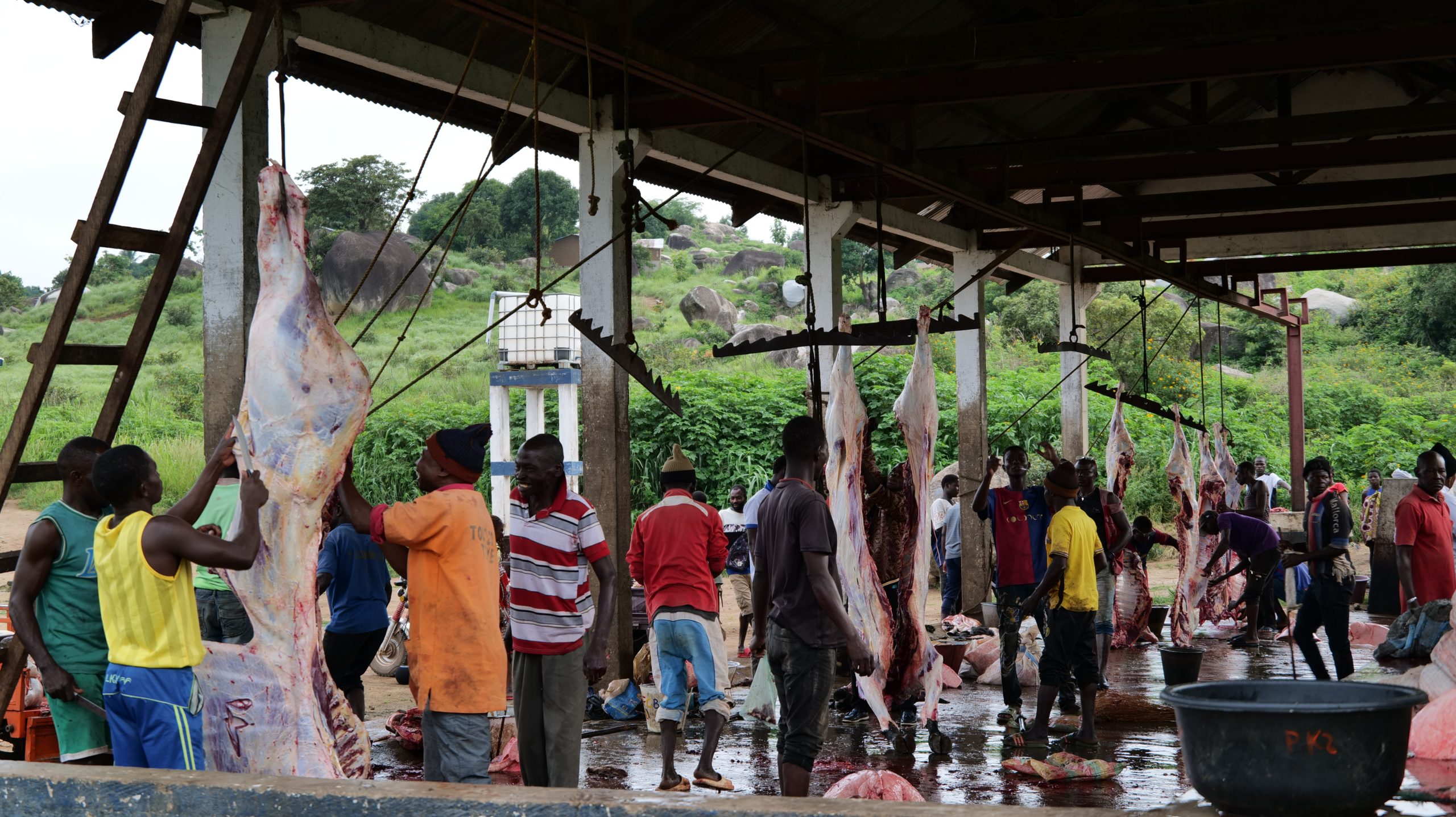 Abattoir de Bouar : une situation critique met en péril la sécurité et la qualité