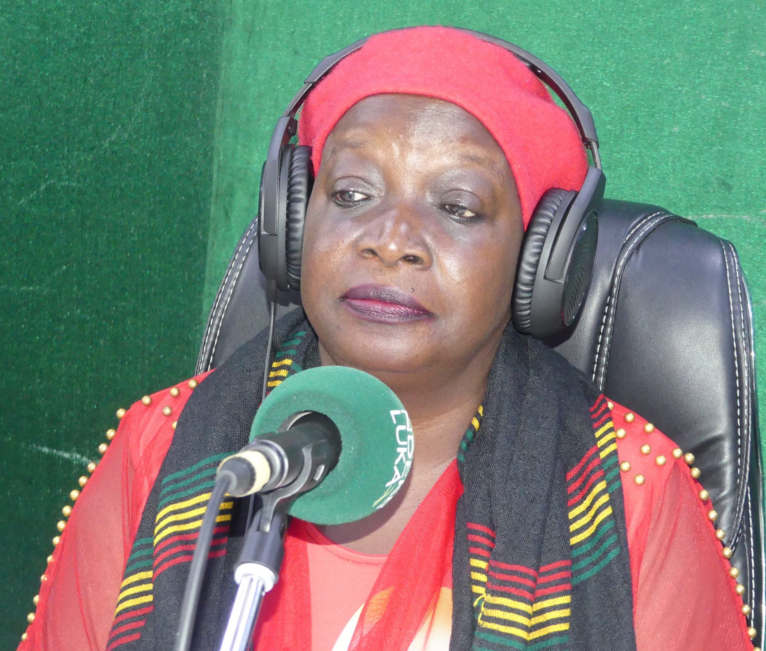 L'AWLN plaide pour un gouvernement de compétences en Centrafrique