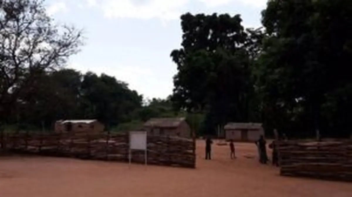 Yalinga : La Faim, Symptôme d'un Néglige Structurel